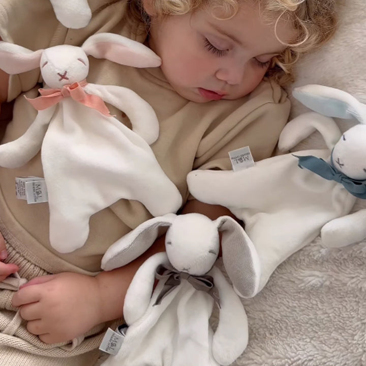 Mini Comforter