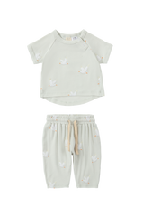 Set- Boxy Tee & Summer Pant