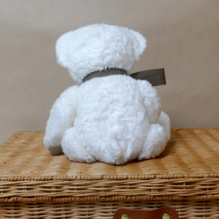 Boxed Fluffy Teddy Bear