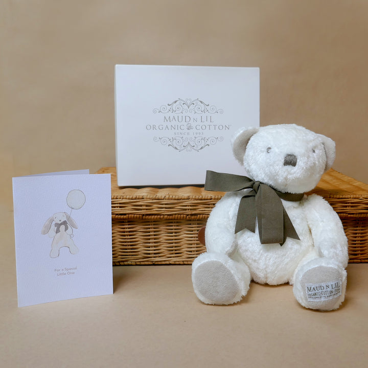 Boxed Fluffy Teddy Bear