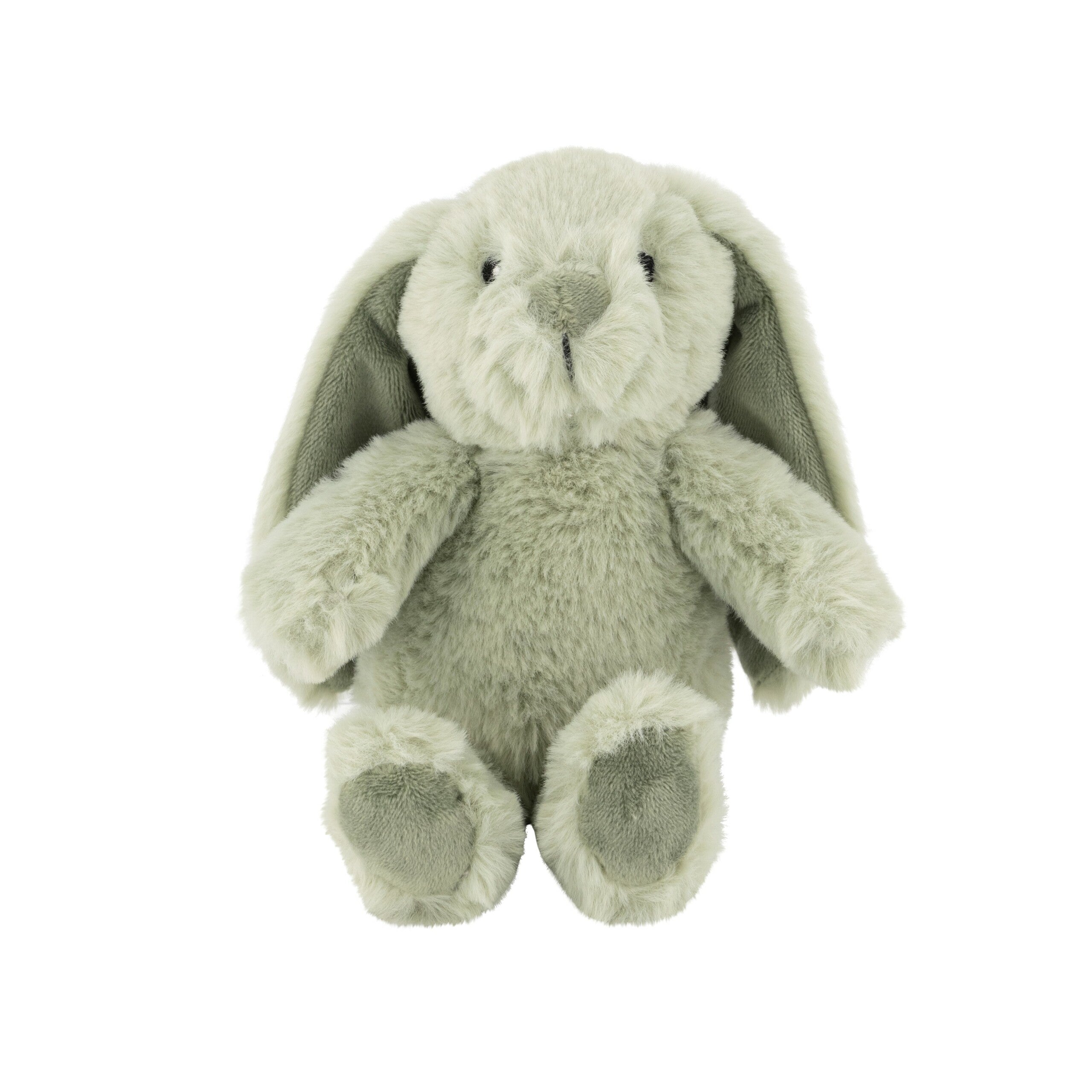 Littlefoot Bunny