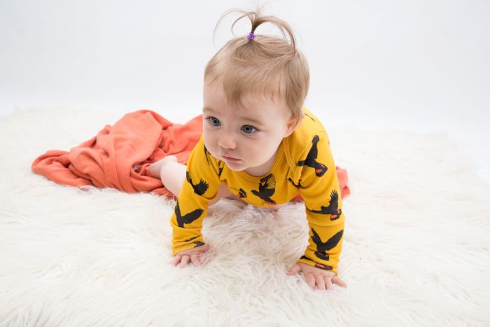 Long Sleeve Onesie - Various Designs