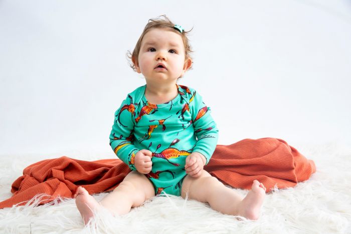 Long Sleeve Onesie - Various Designs