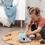 Hide & Seek Activity Toy Wally