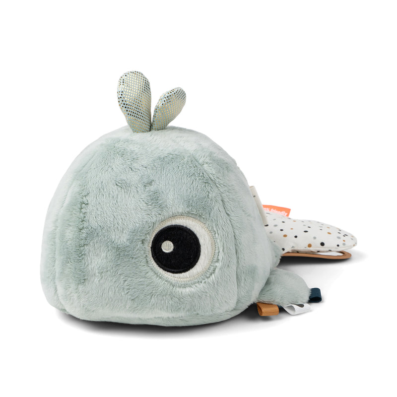 Hide & Seek Activity Toy Wally